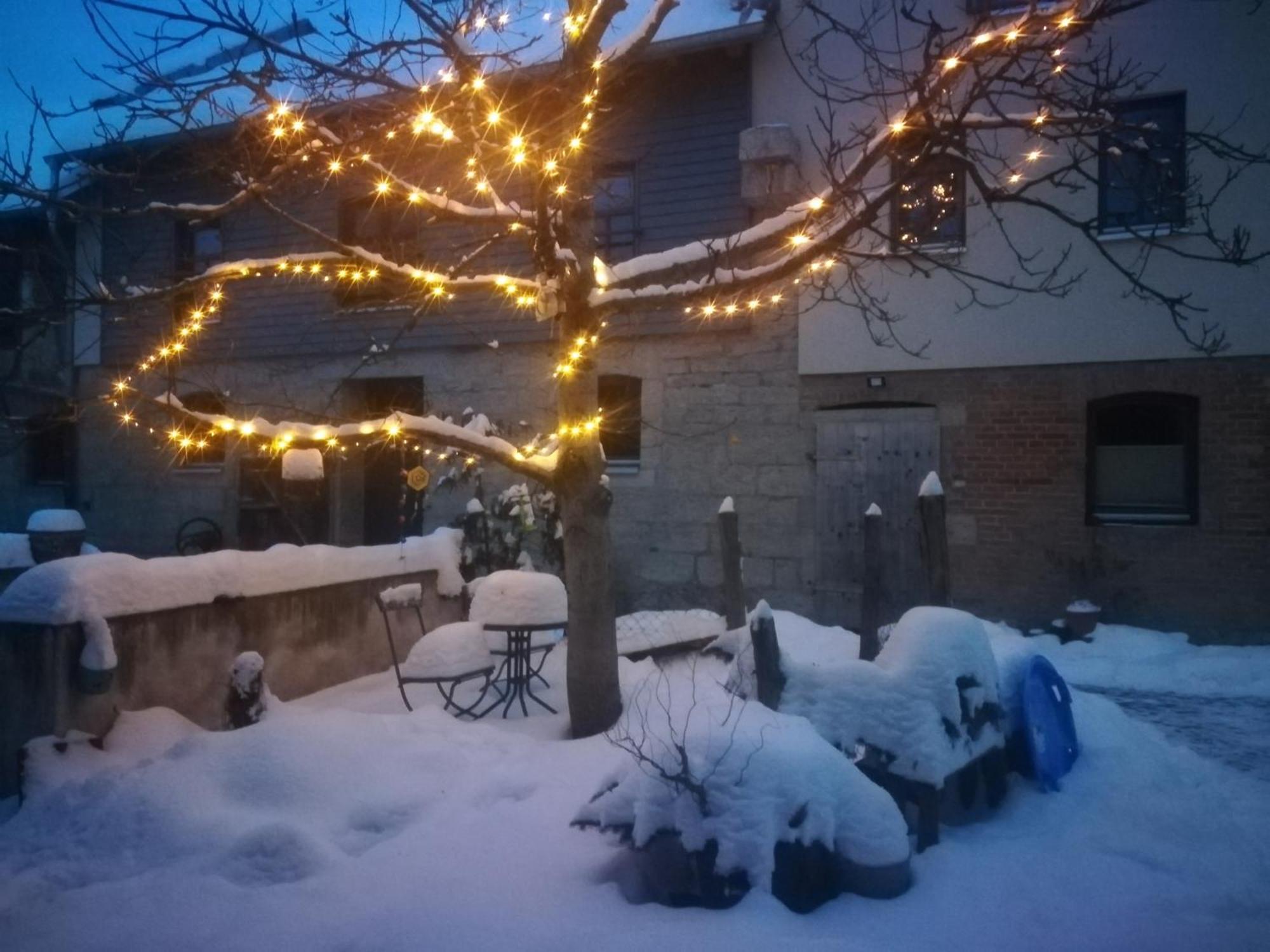 Ferienhof"Waldesel Rippersroda" 외부 사진