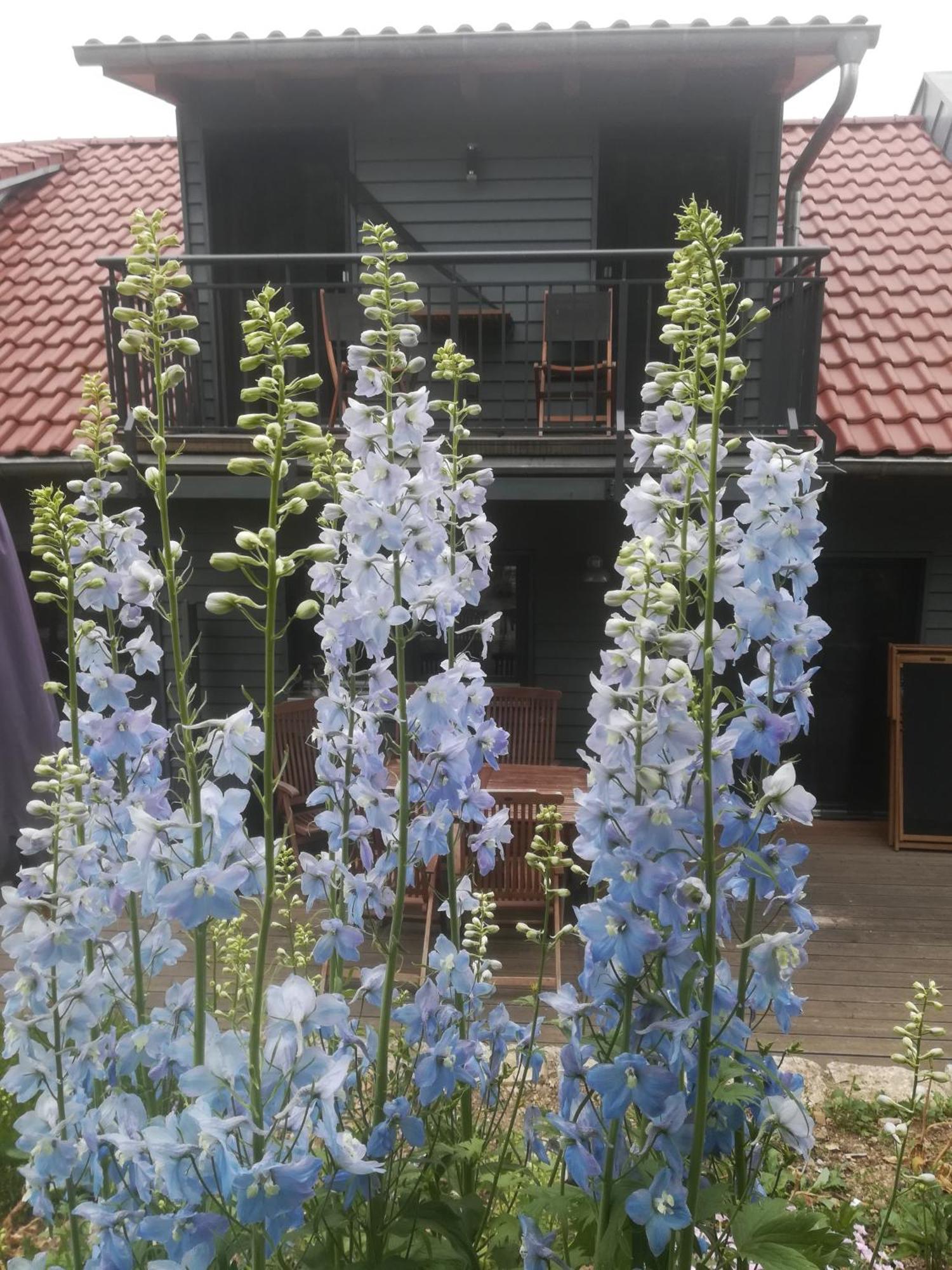 Ferienhof"Waldesel Rippersroda" 외부 사진
