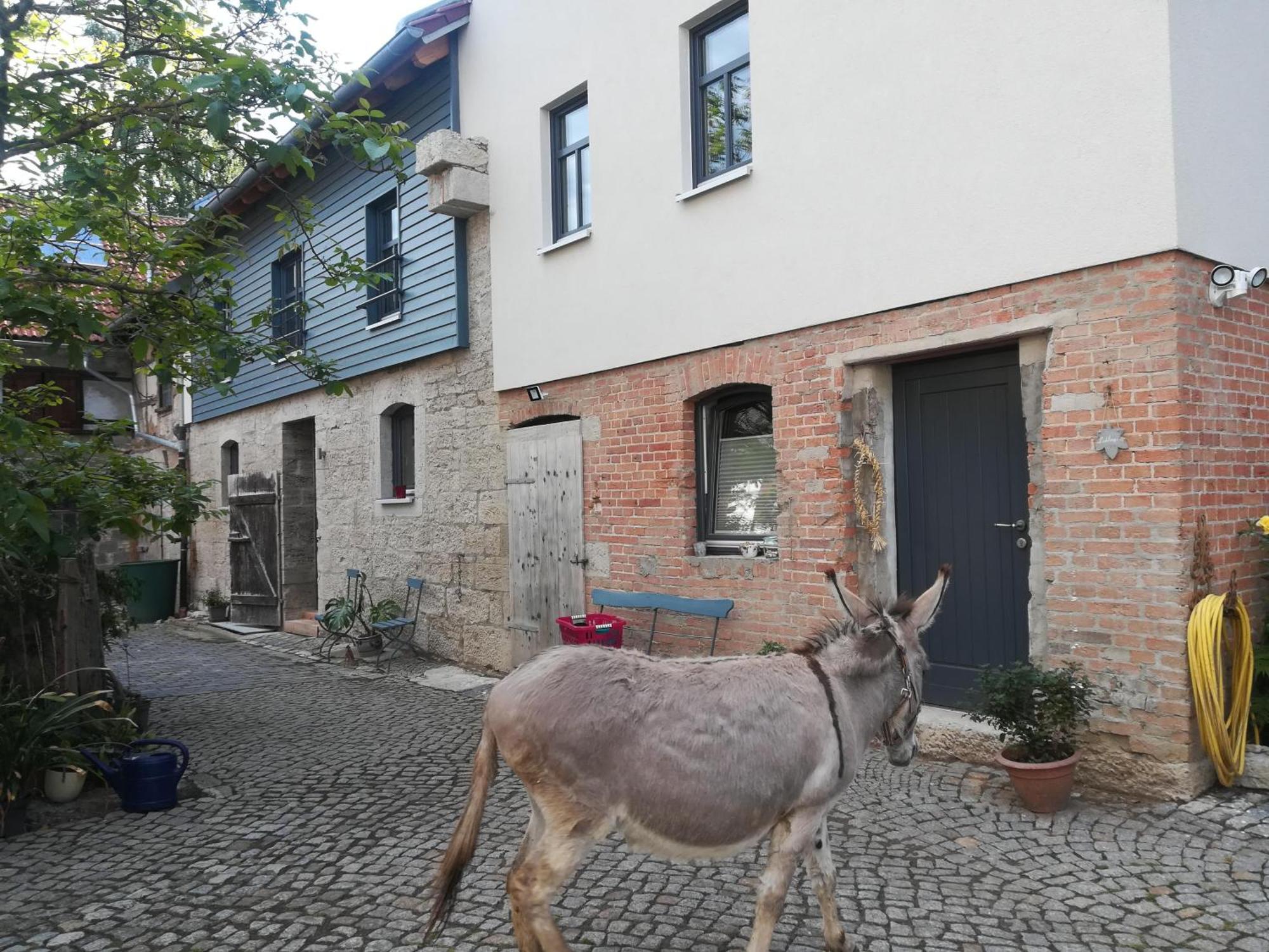 Ferienhof"Waldesel Rippersroda" 외부 사진