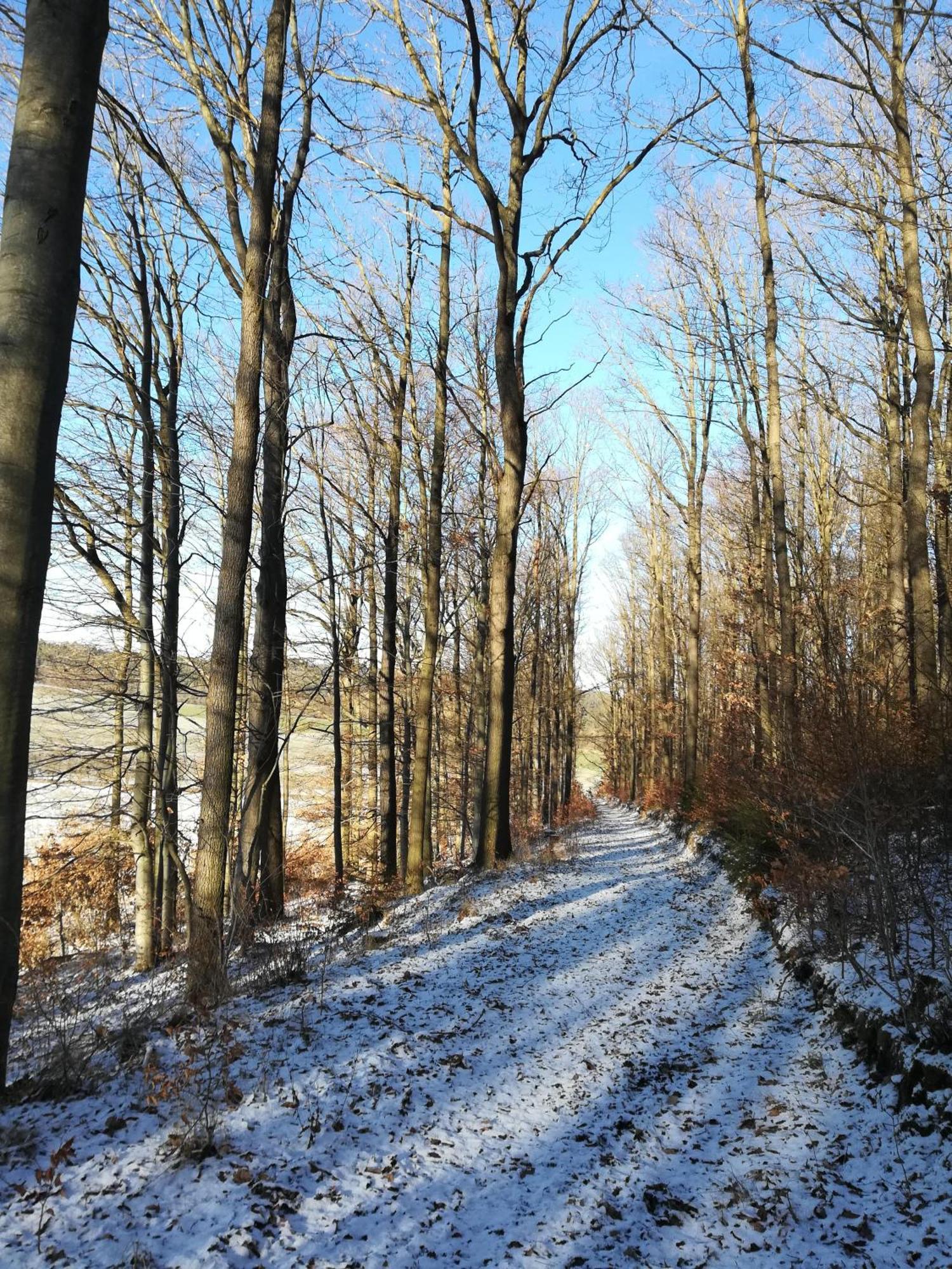 Ferienhof"Waldesel Rippersroda" 외부 사진