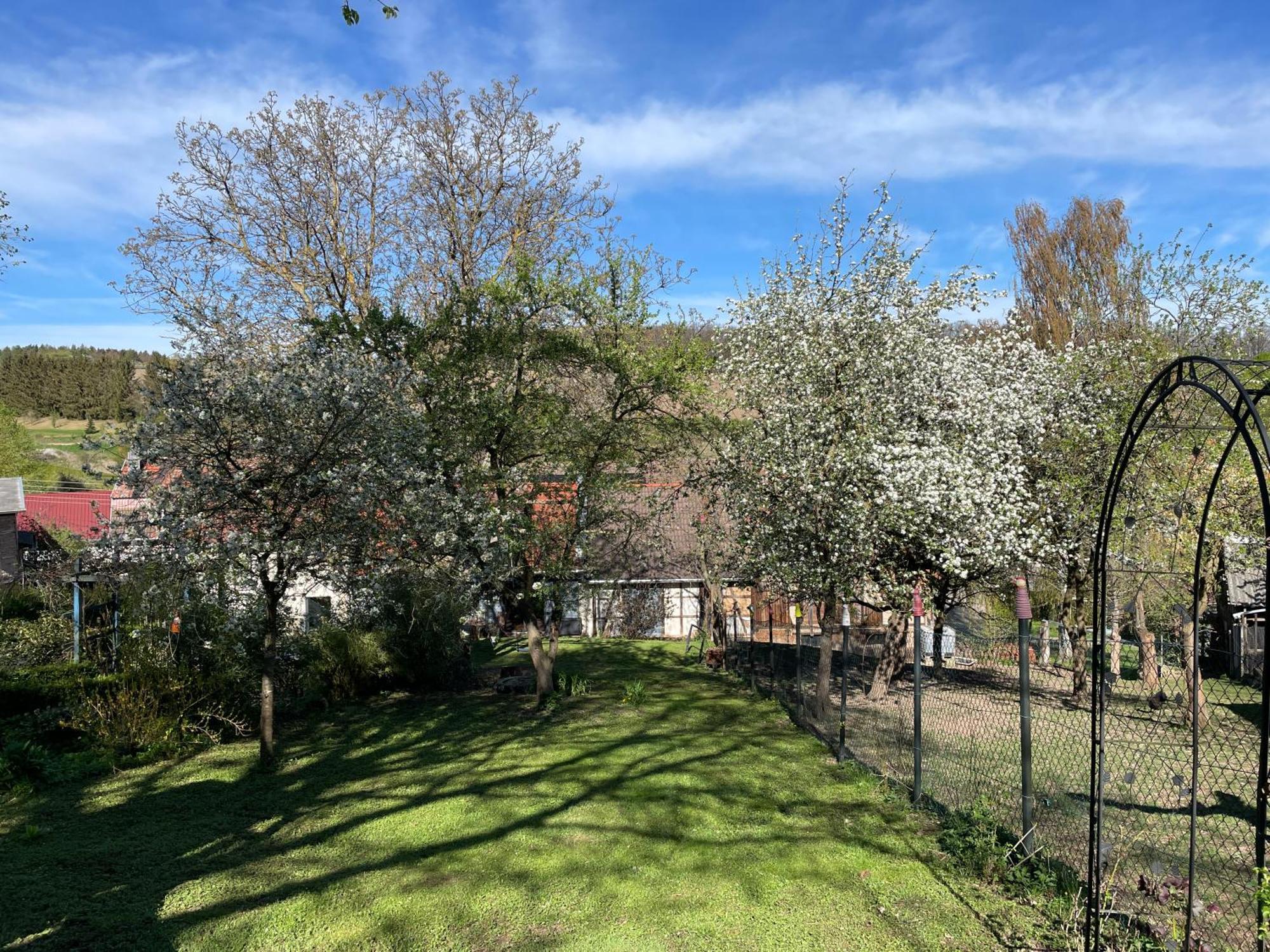 Ferienhof"Waldesel Rippersroda" 외부 사진