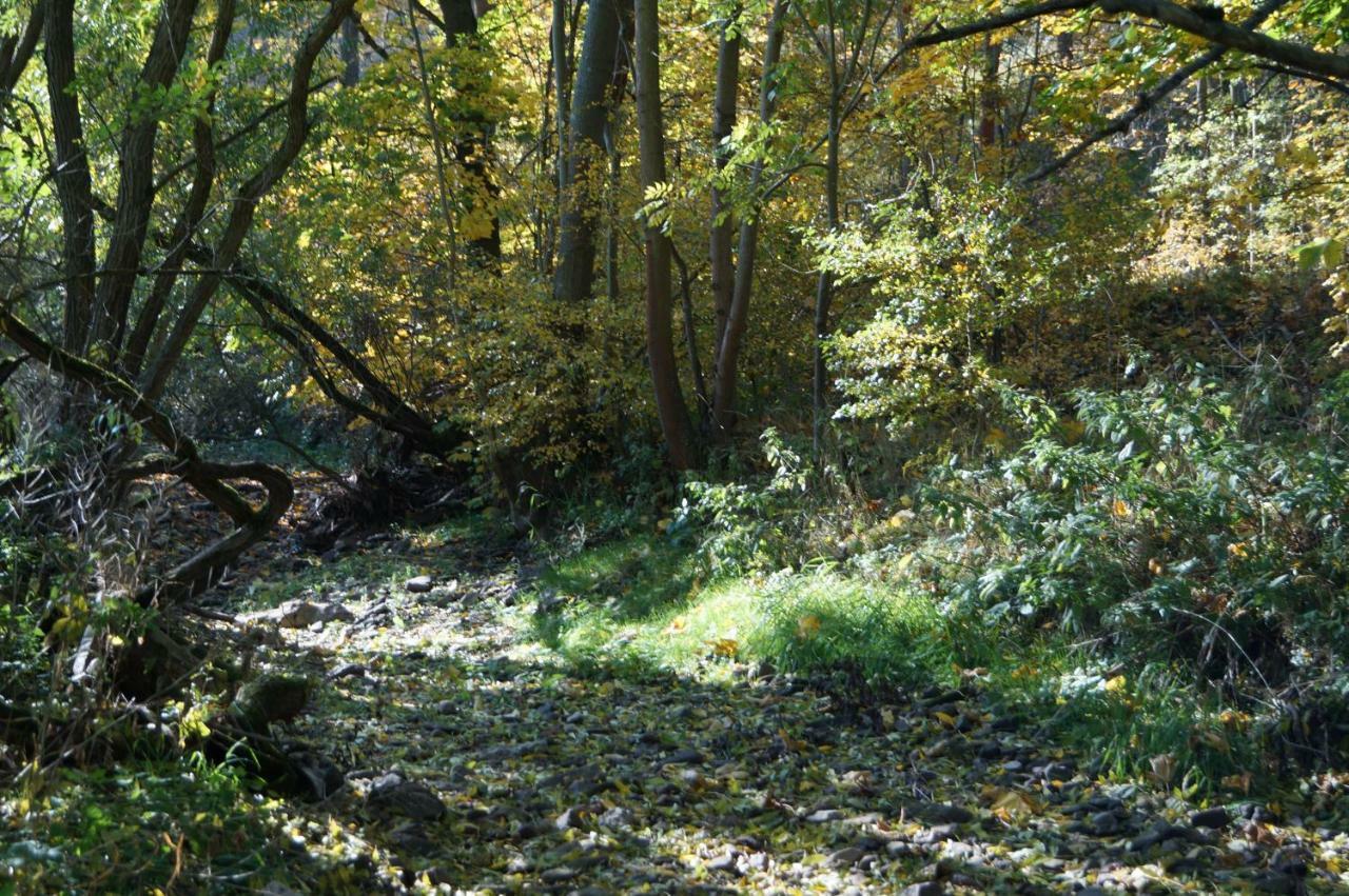 Ferienhof"Waldesel Rippersroda" 외부 사진